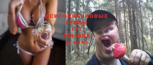 эйфоретик Вяземский