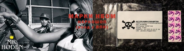 эйфоретик Вяземский